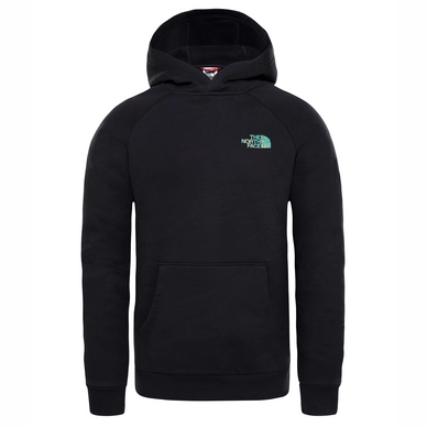 Trui The North Face Men Raglan Red Box Hoodie TNF Black Iridescent