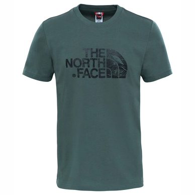 T-Shirt The North Face Men S S Woodcut Dome Tee Thyme