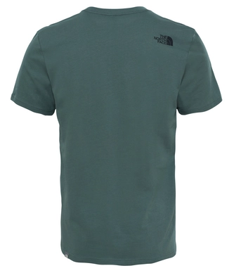 T-Shirt The North Face Men S S Woodcut Dome Tee Thyme