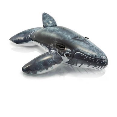 Requin Gonflable Intex