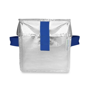 Koeltas Pack It EcoFreeze Ice Cream Tote Zilver 6L