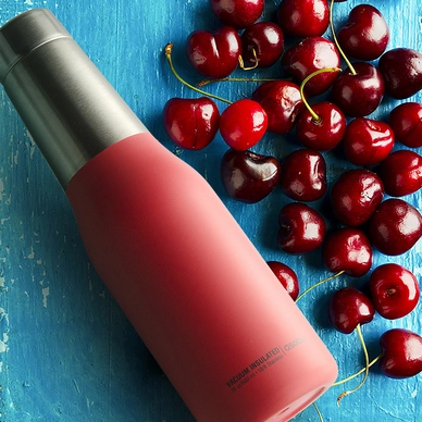Thermosfles Asobu Oasis Grijs 600 ml
