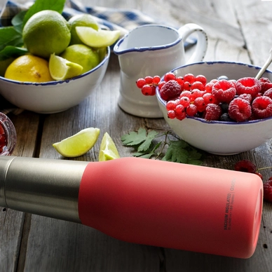 Thermosfles Asobu Oasis Grijs 600 ml