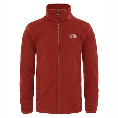 Winterjas The North Face Men Evolve II Triclimate Brandy Brown