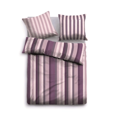 Bettwäsche Tom Tailor Flanell Violet Striped
