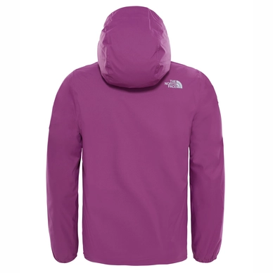 Winterjas The North Face Girls Eliana Rain Triclimate Wood Violet