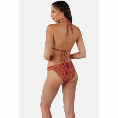 0970_des-bikini-briefs_11_amb6