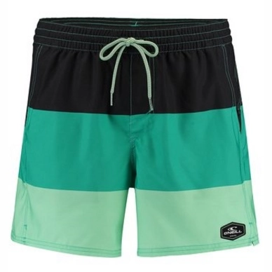 Boardshort O'Neill Men Horizon Green Print