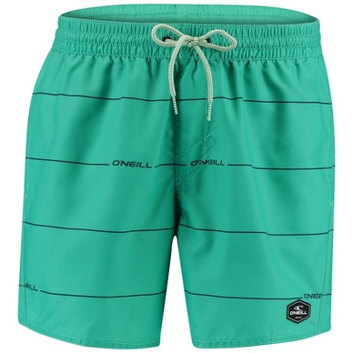 Boardshort O'Neill Men Contourz Green Blue