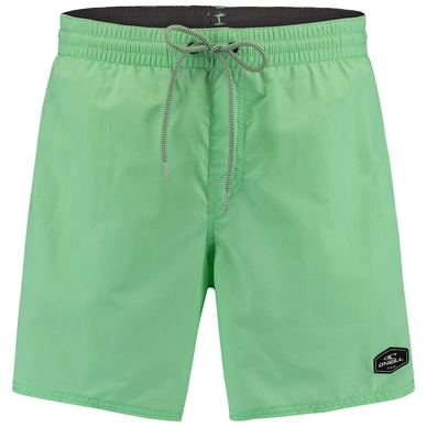 Boardshort O'Neill Men Vert Shorts Neo Mint