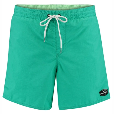 Boardshort O'Neill Men Vert Shorts Salina Green