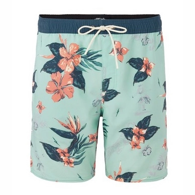 Board Shorts O'Neill Men Bloom Green