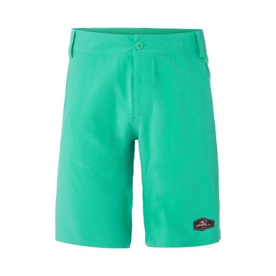 Boardshort O'Neill Men Hybrid Marq Salina Green