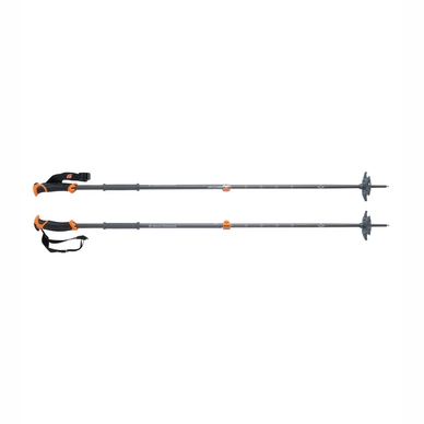 Ski Poles Black Diamond Traverse 2015