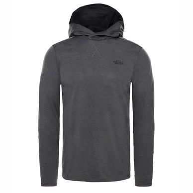 Sweat à Capuche The North Face Homme Reactor Hoodie TNF Dark Grey Hwather