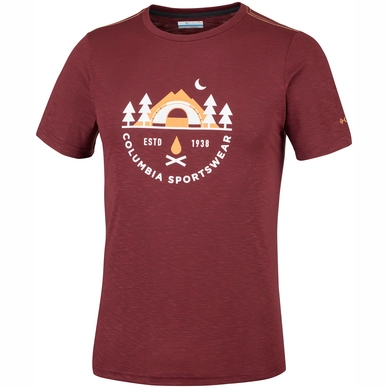 T-Shirt Columbia Nelson Point Graphic Tee Tapestry Heather Rot