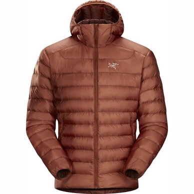 Jas Arc'teryx Men Cerium LT Hoody Komorebi