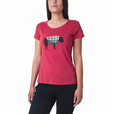 Tee-Shirt Columbia Women Outer Bounds SS Tee Daredevil Heather