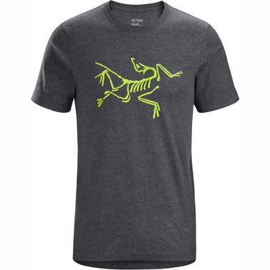 T-Shirt Arc'teryx Hommes Archaeopteryx SS Pilot Heather