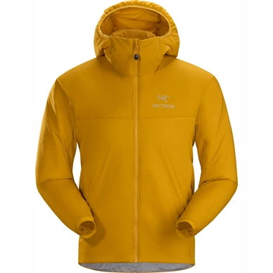Veste  Arc'teryx Men Atom LT Hoody Nucleus