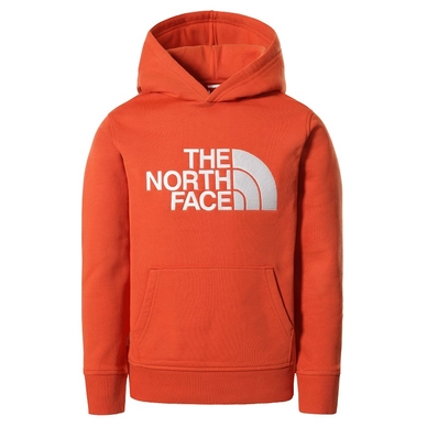 Trui The North Face Youth Drew Peak Pullover Hoodie Burnt Ochre