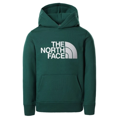 Pullover The North Face Drew Peak Pullover Hoodie Night Green Kinder