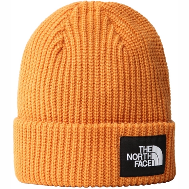 Bonnet The North Face Salty Dog Beanie Topaz