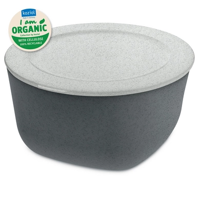 Brotdose Koziol Connect Box 4 Schale mit Deckel 4 liter Organic Deep Grey