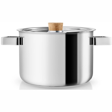 Eva Solo Nordic Kitchen Cooking Pot Stainless Steel 3 L
