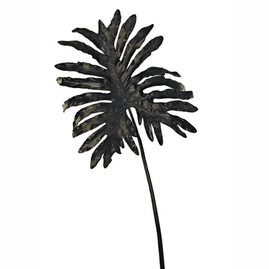 Kunstplant POLSPOTTEN Selloum Leaf Black
