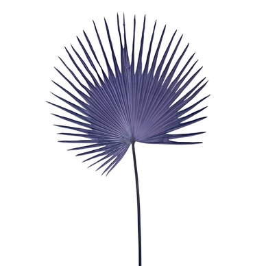 Kunstplant POLSPOTTEN Fan Palm Leaf Dark Blue
