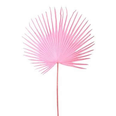 Kunstplant POLSPOTTEN Fan Palm Leaf Pink