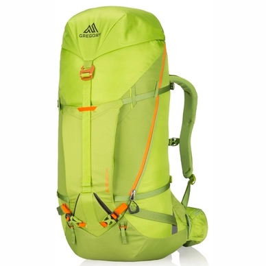 Backpack Gregory Alpinisto 50 Lichen Green L