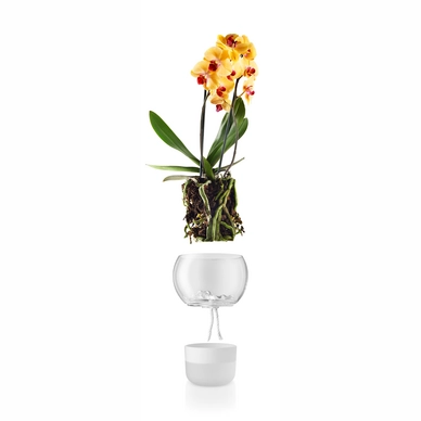 Pot de Fleur avec Système d'Arrosage Eva Solo Orchid 15 cm