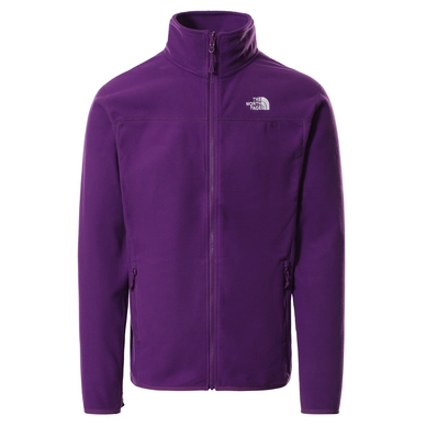 Sweatjacke The North Face 100 Glacier Full Zip Gravity Purple Herren