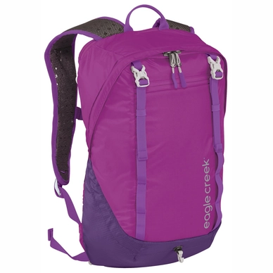 Rugzak Eagle Creek Asap Pack RFID Grape