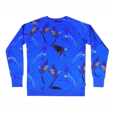 Pullover SNURK Blue Parrot Herren