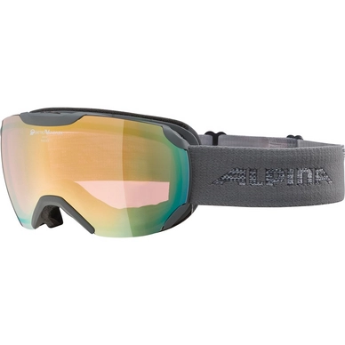 Masque de Ski Alpina Pheos S QV Grey