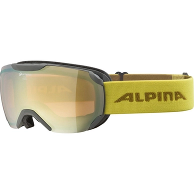Masque de Ski Alpina Pheos S Grey Curry / QHM Gold