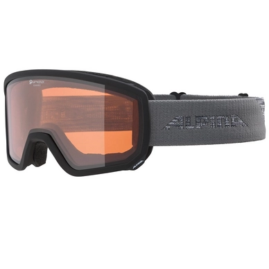 Skibril Alpina Scarabeo QH Black Grey