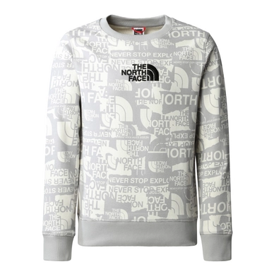 Pullover The North Face Drew Peak Light Crew Boys Meld Grey TNF Brand Proud Print