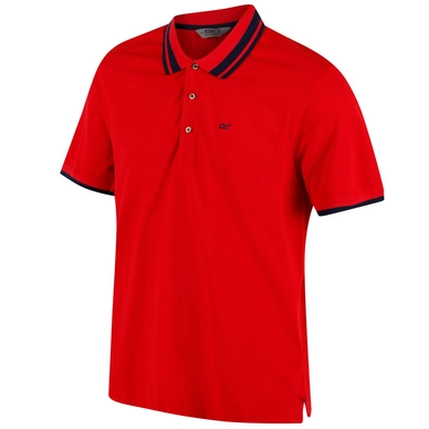 Poloshirt  Regatta Talcott Pepper Herren
