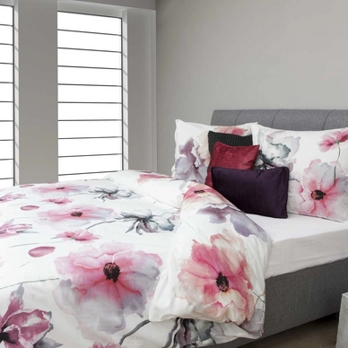 Bettwäsche HNL Pure Cotton Kate Multi Baumwolle
