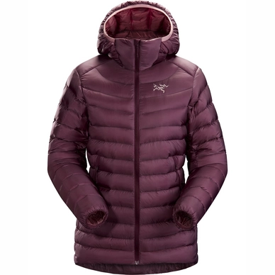 Jacke Arc teryx Cerium LT Hoody Rhapsody Damen Outdoorsupply