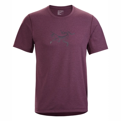 T-Shirt Arc'teryx Cormac Logo SS Rhapsody Herren