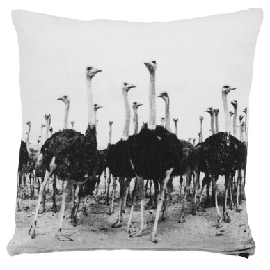 Sierkussen KAAT Amsterdam Ostrich Zwart (45x45 cm)