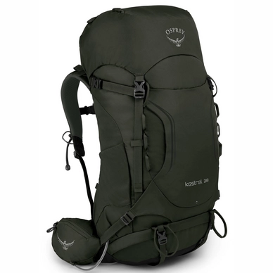 Backpack Osprey Kestrel 38 Picholine Green Men (M/L)