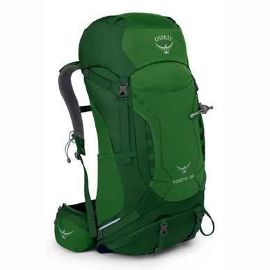 Backpack Osprey Kestrel 38 Jungle Green (M/L)