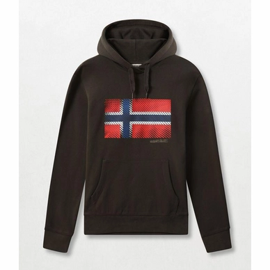 Trui Napapijri Men Bibu Hoody Green Forest