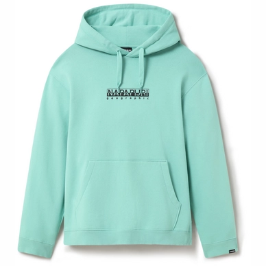 Trui Napapijri Men Box Hood Green Dusty